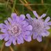 20060819_hakubatrip_011